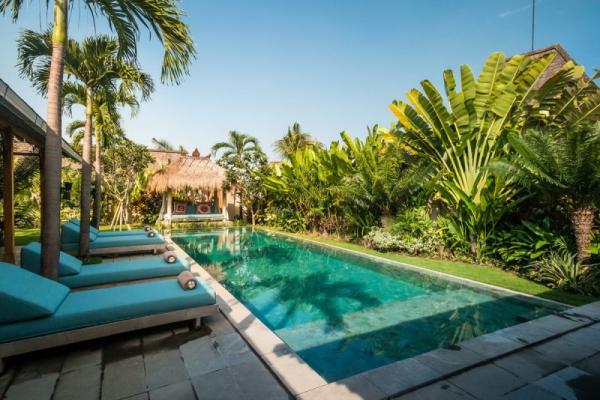 Swimming Pool And Small Garden