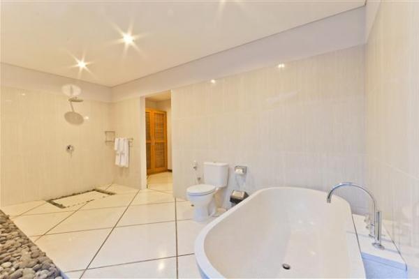 Bathtub And Indoor Shower