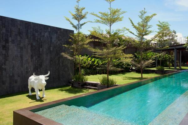 Swimming Pool And Garden