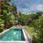 Tropical Garden And Plants Around The Pool