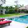 Pool & Deck