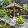 Fish Pond And Tropical Plants By The Pool